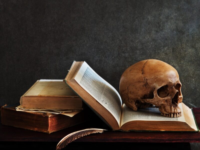 Photo of a human skull sitting on an open book