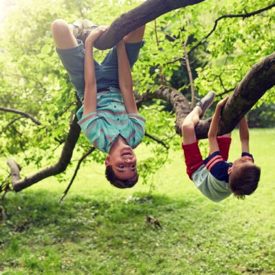two kids hanging upside down on tree branches